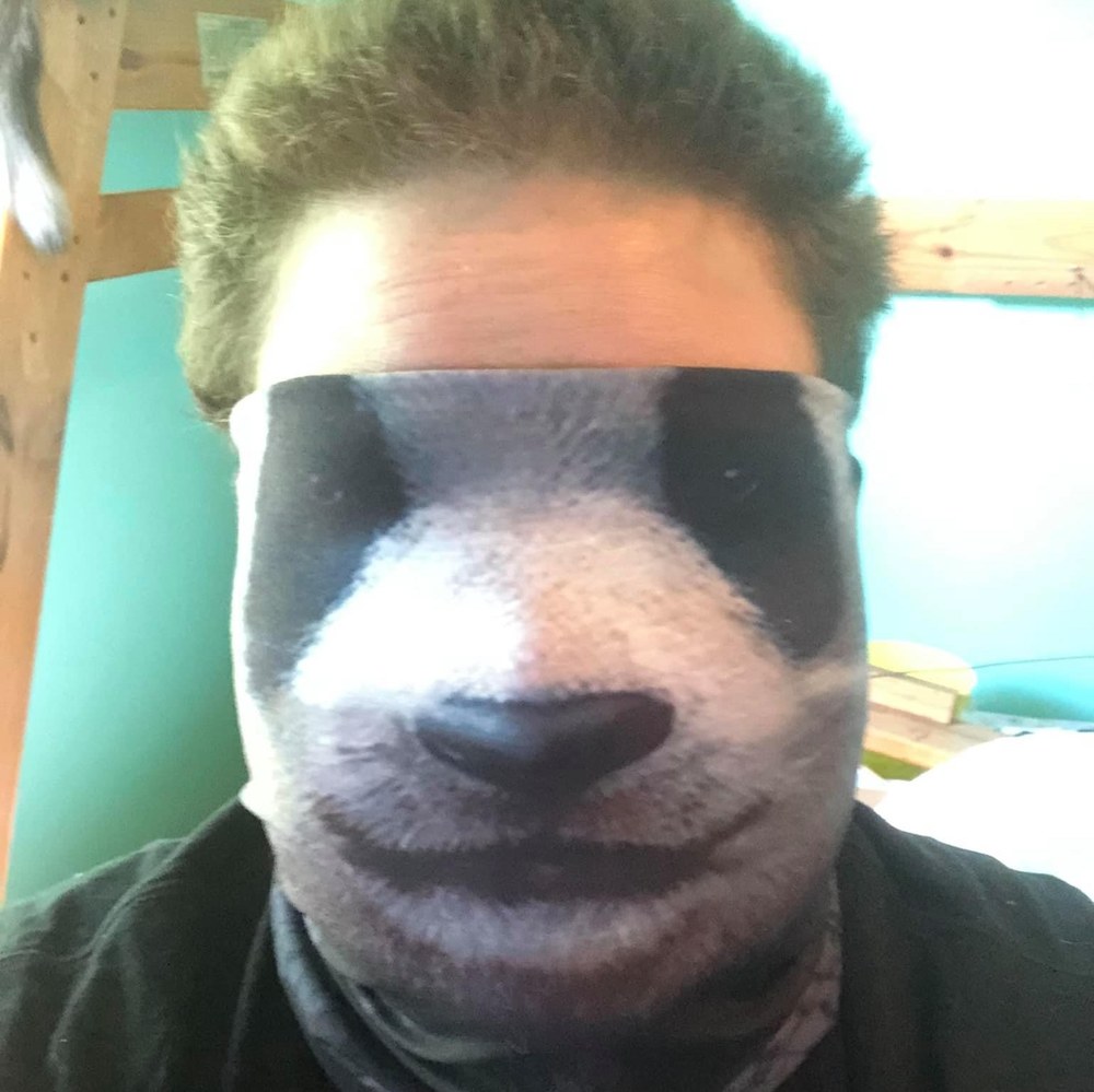 Meet your Posher, Theo